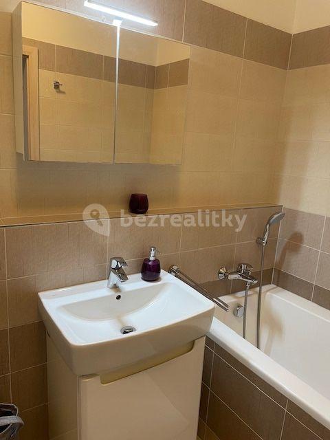 1 bedroom with open-plan kitchen flat to rent, 59 m², Dubeckého, Prague, Prague