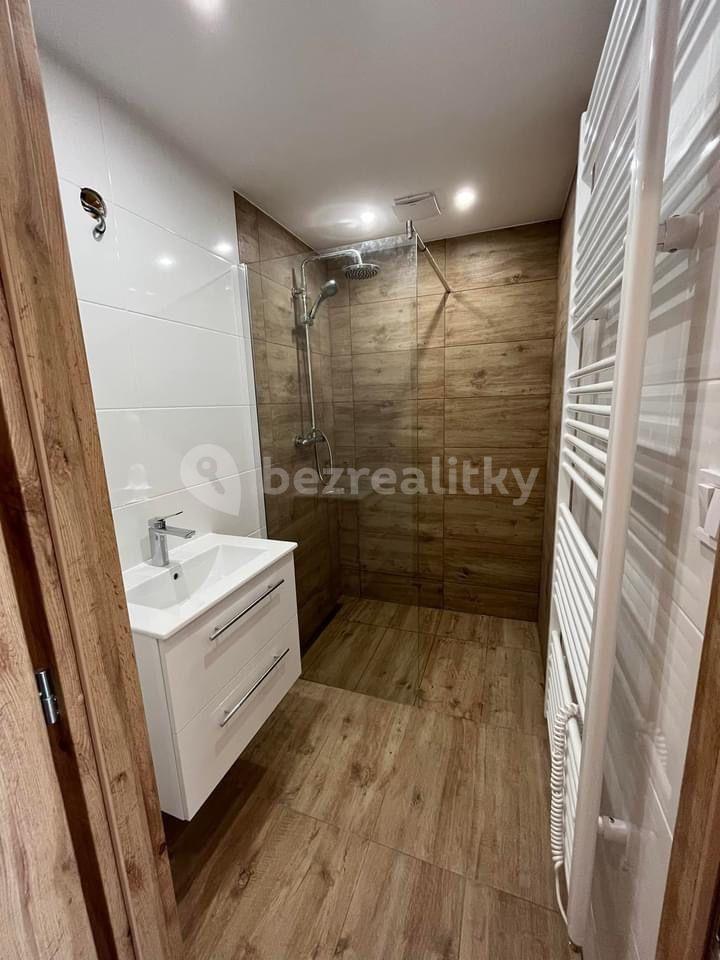 1 bedroom with open-plan kitchen flat to rent, 40 m², Veslařská, Mělník, Středočeský Region