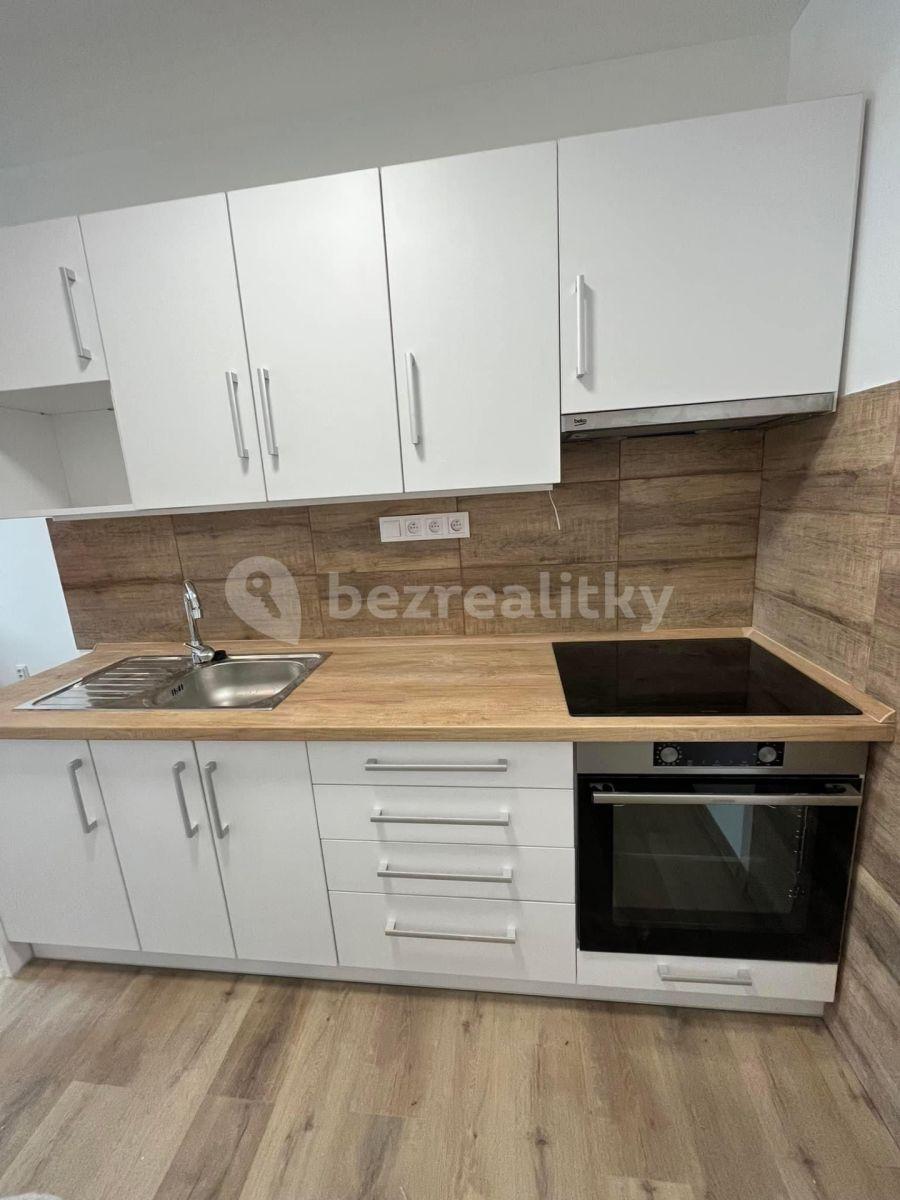 1 bedroom with open-plan kitchen flat to rent, 40 m², Veslařská, Mělník, Středočeský Region