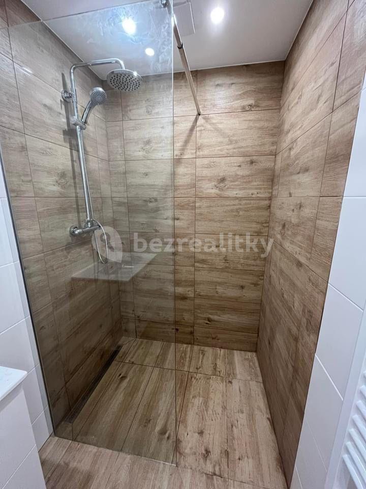 1 bedroom with open-plan kitchen flat to rent, 40 m², Veslařská, Mělník, Středočeský Region