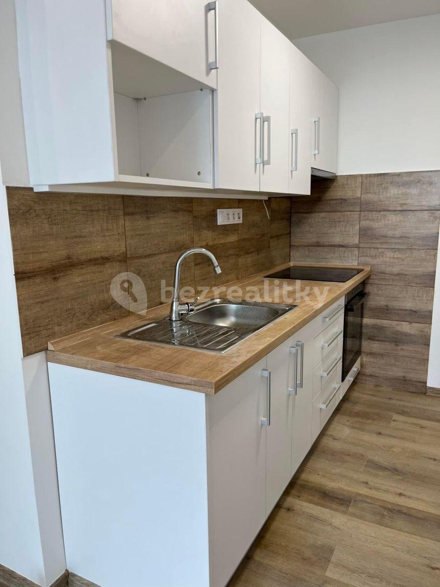 1 bedroom with open-plan kitchen flat to rent, 40 m², Veslařská, Mělník, Středočeský Region