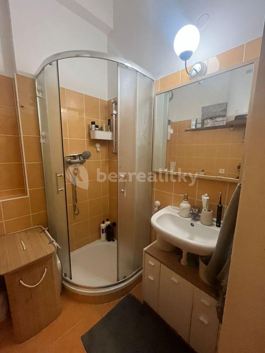 Studio flat to rent, 28 m², Křehlíkova, Brno, Jihomoravský Region