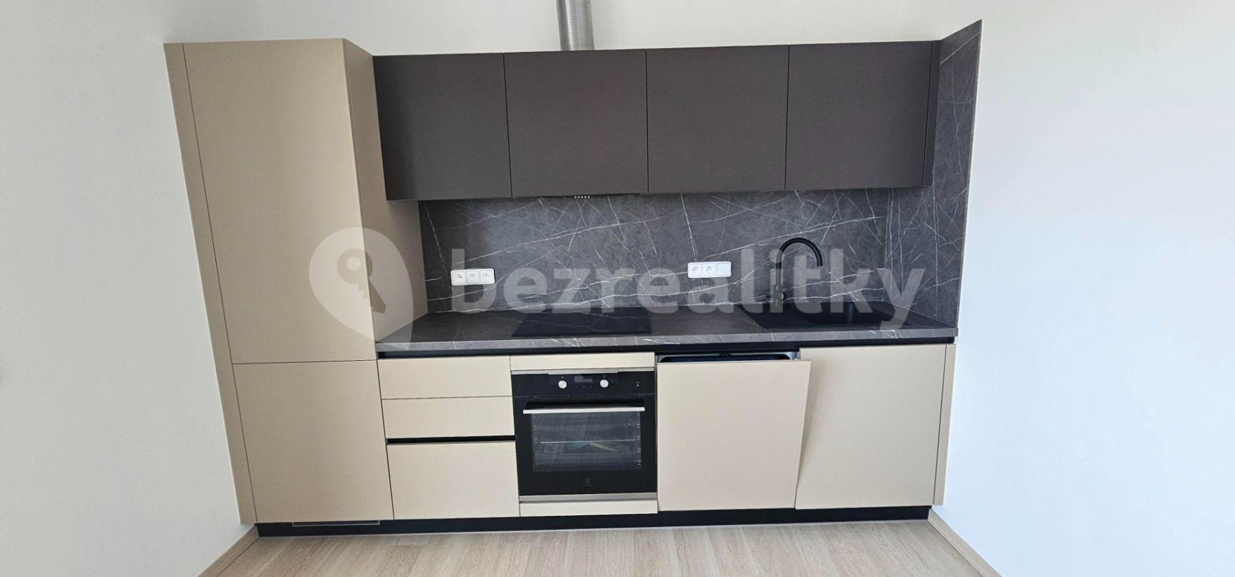 1 bedroom with open-plan kitchen flat to rent, 87 m², Novohradská, České Budějovice, Jihočeský Region