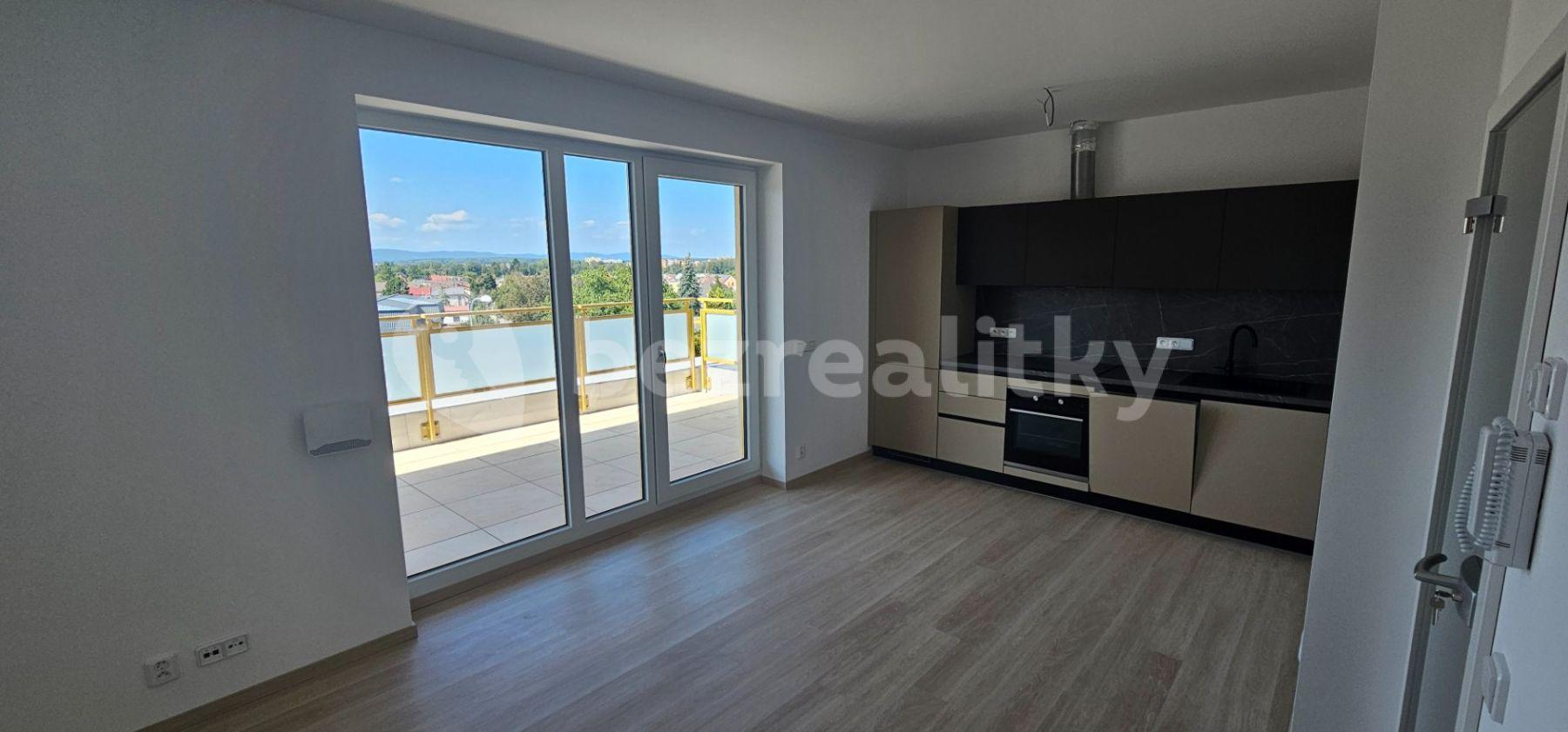 1 bedroom with open-plan kitchen flat to rent, 87 m², Novohradská, České Budějovice, Jihočeský Region