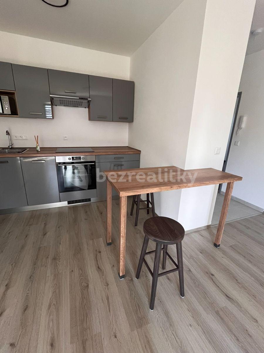 1 bedroom with open-plan kitchen flat to rent, 38 m², Prokopa Holého, Slaný, Středočeský Region