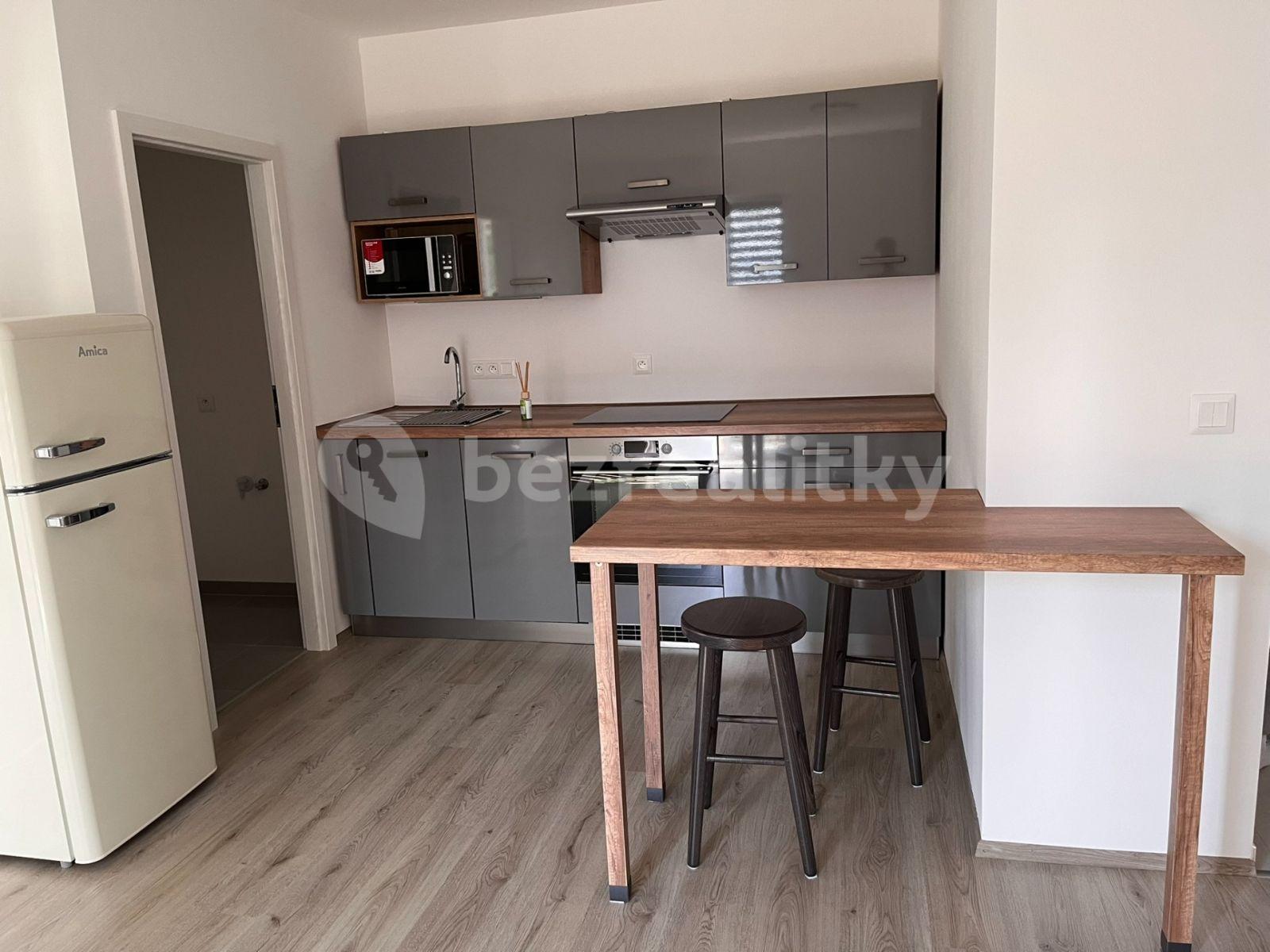 1 bedroom with open-plan kitchen flat to rent, 38 m², Prokopa Holého, Slaný, Středočeský Region