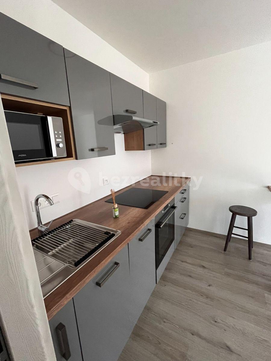 1 bedroom with open-plan kitchen flat to rent, 38 m², Prokopa Holého, Slaný, Středočeský Region