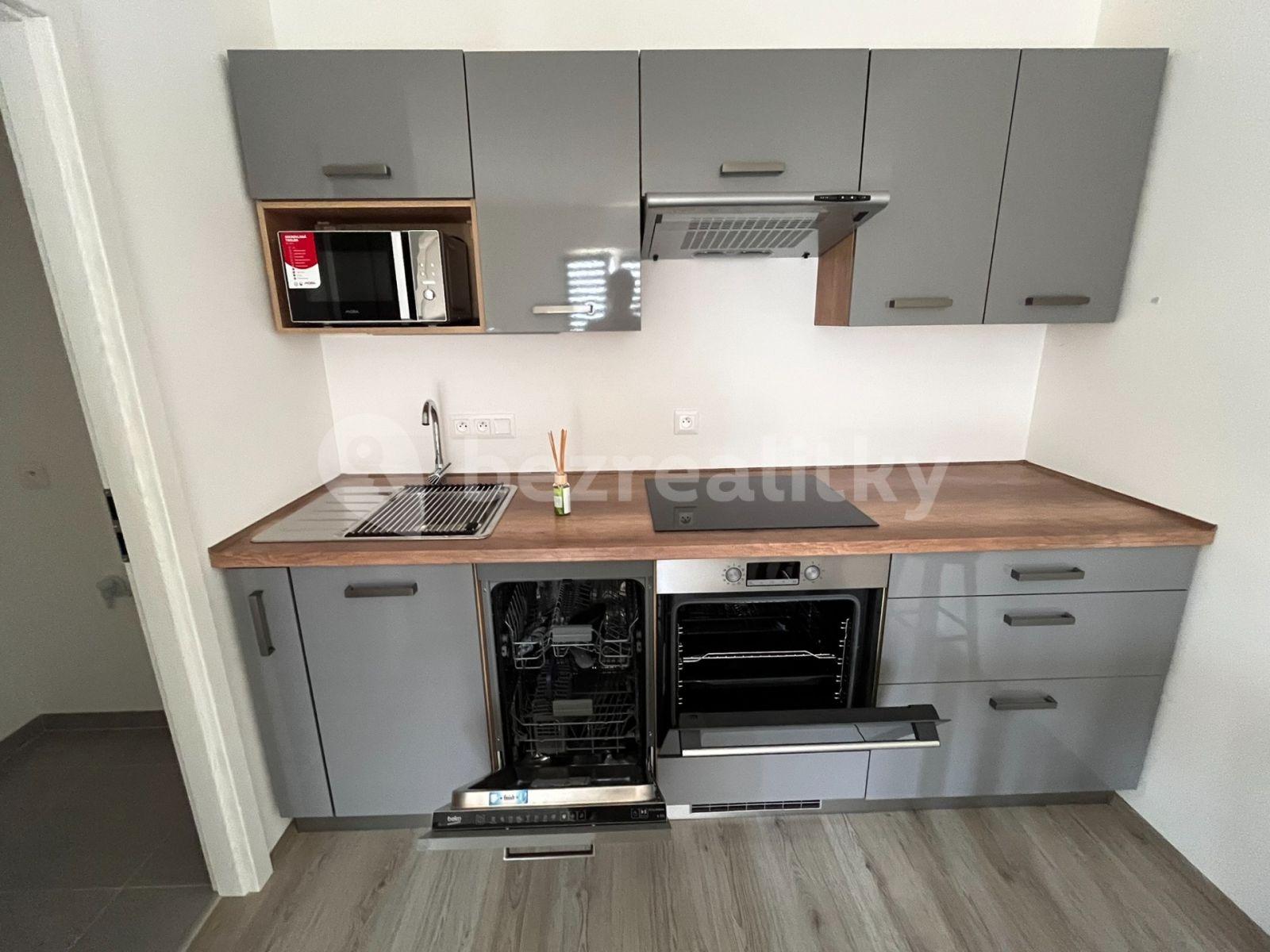 1 bedroom with open-plan kitchen flat to rent, 38 m², Prokopa Holého, Slaný, Středočeský Region