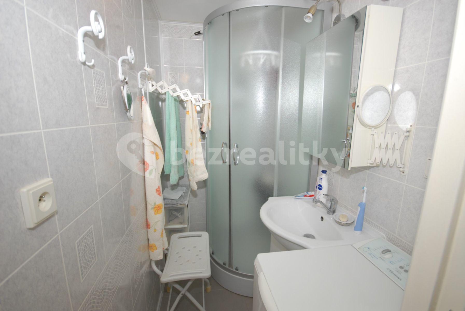 1 bedroom with open-plan kitchen flat to rent, 44 m², Poznaňská, Prague, Prague