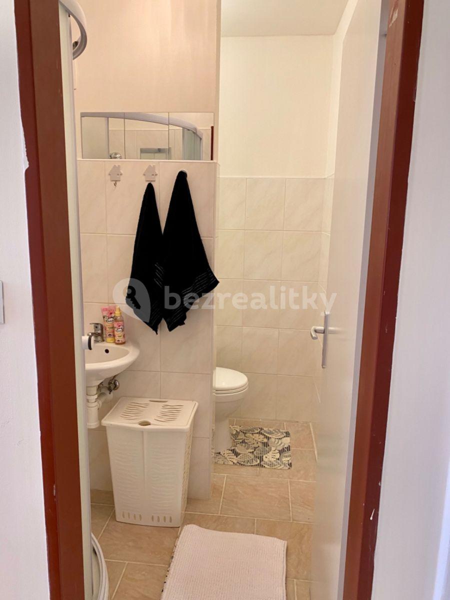 1 bedroom with open-plan kitchen flat to rent, 40 m², Střelecký vrch, Chrastava, Liberecký Region