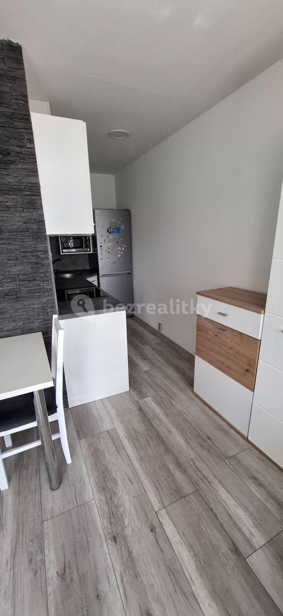 1 bedroom with open-plan kitchen flat for sale, 52 m², V Oblouku, Ústí nad Labem, Ústecký Region