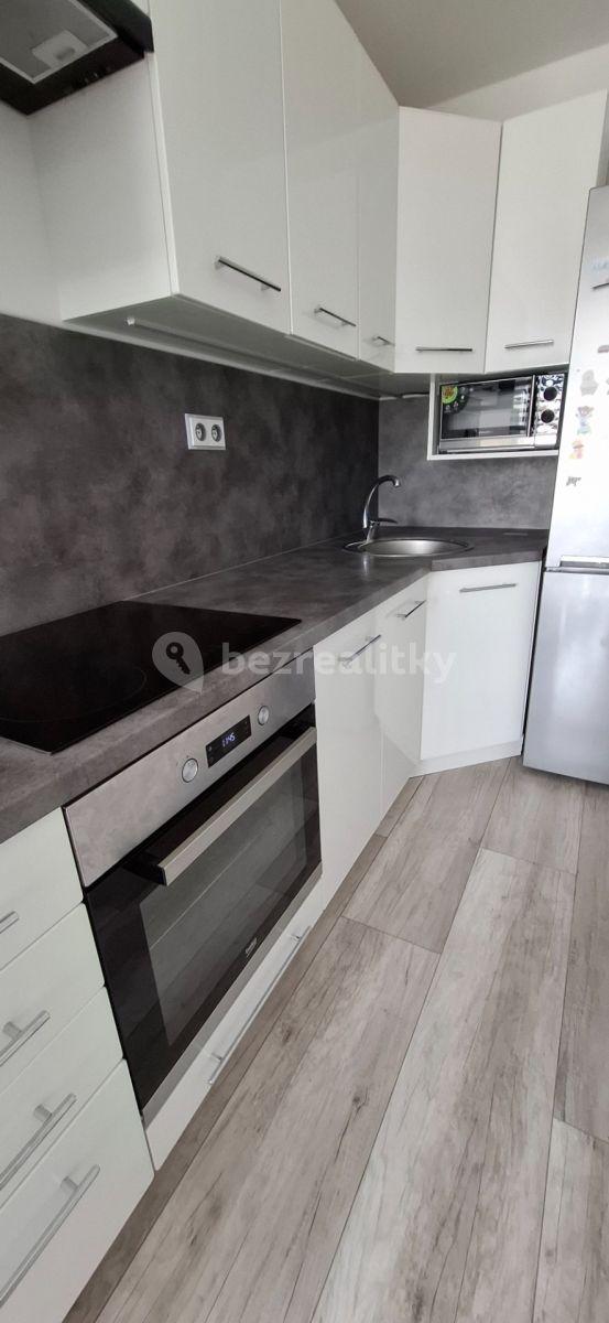 1 bedroom with open-plan kitchen flat for sale, 52 m², V Oblouku, Ústí nad Labem, Ústecký Region