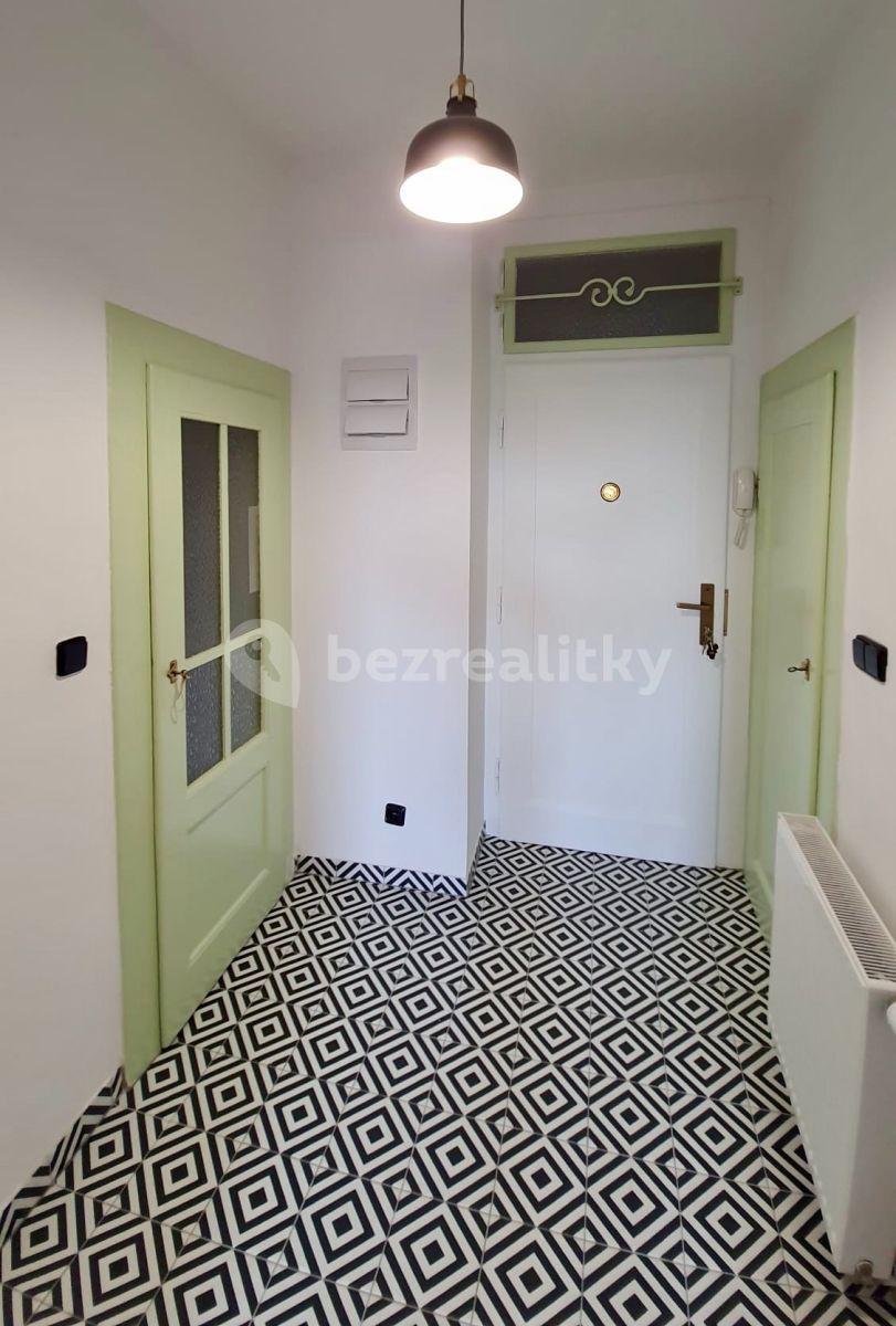 1 bedroom with open-plan kitchen flat to rent, 48 m², Guldenerova, Plzeň, Plzeňský Region