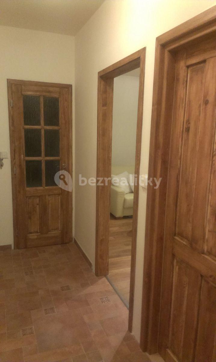 1 bedroom with open-plan kitchen flat to rent, 53 m², Nad Údolím, Husinec, Středočeský Region