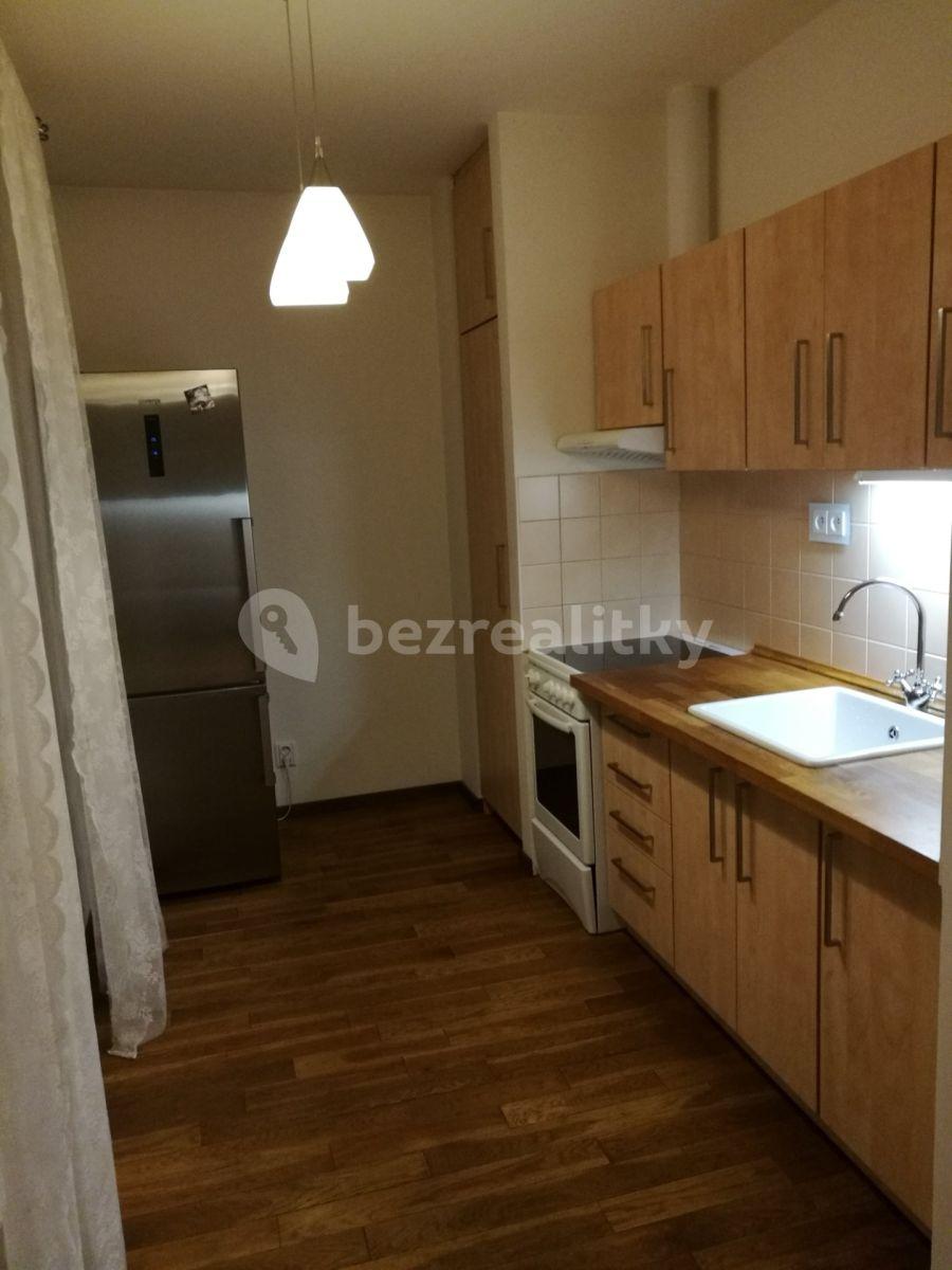 1 bedroom with open-plan kitchen flat to rent, 53 m², Nad Údolím, Husinec, Středočeský Region