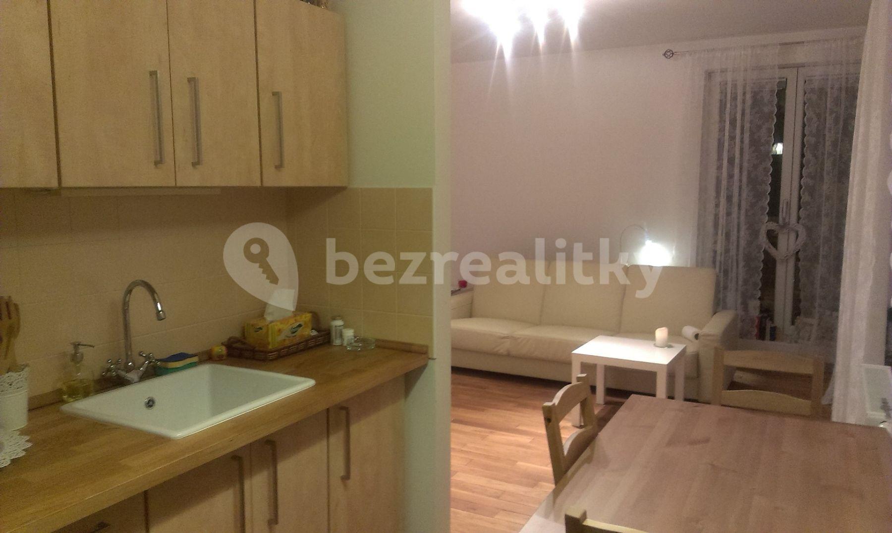 1 bedroom with open-plan kitchen flat to rent, 53 m², Nad Údolím, Husinec, Středočeský Region