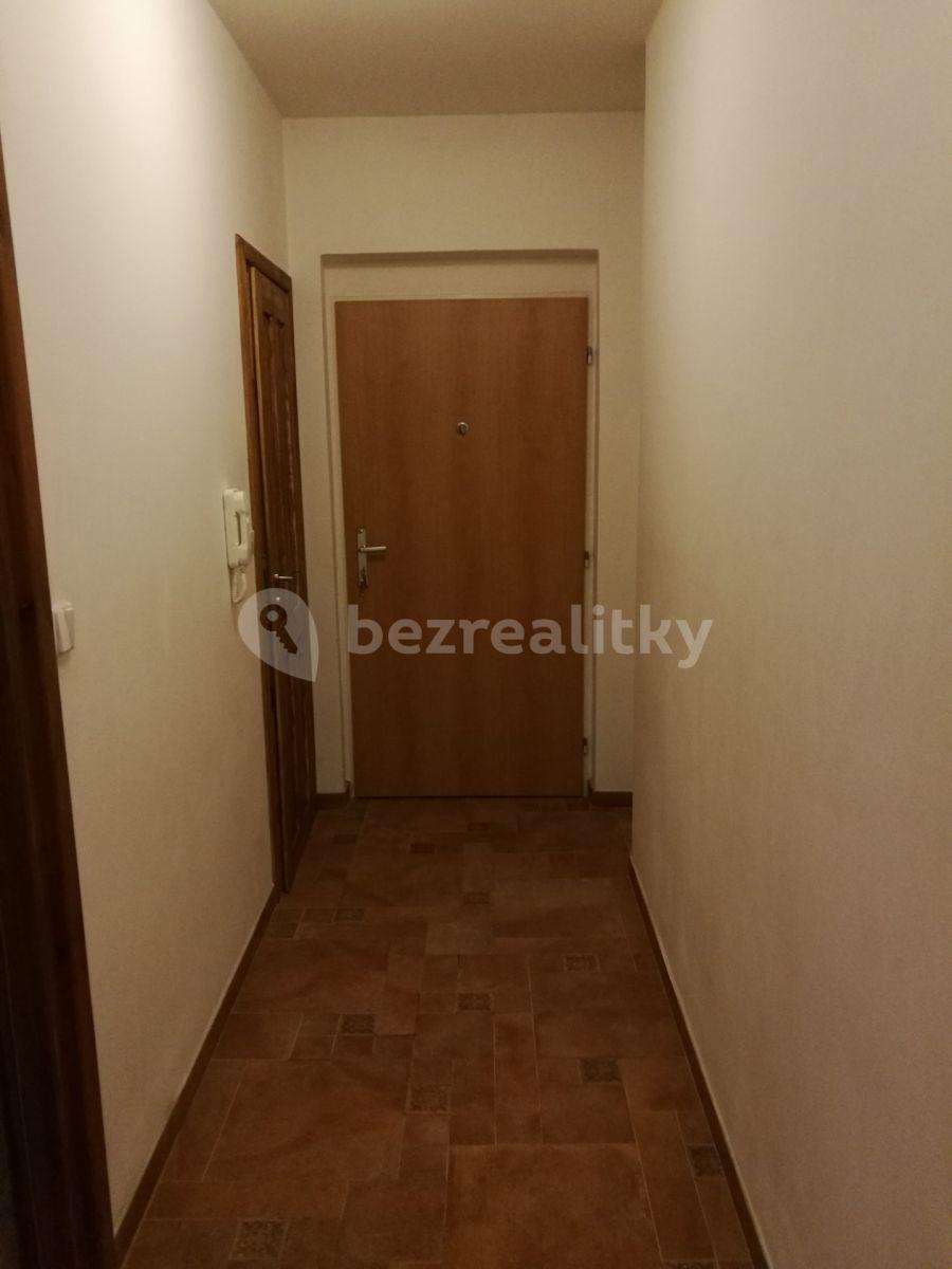 1 bedroom with open-plan kitchen flat to rent, 53 m², Nad Údolím, Husinec, Středočeský Region