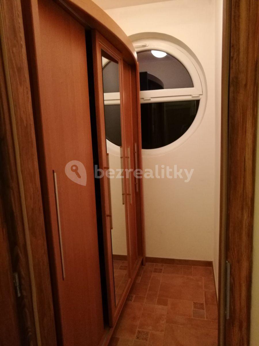 1 bedroom with open-plan kitchen flat to rent, 53 m², Nad Údolím, Husinec, Středočeský Region