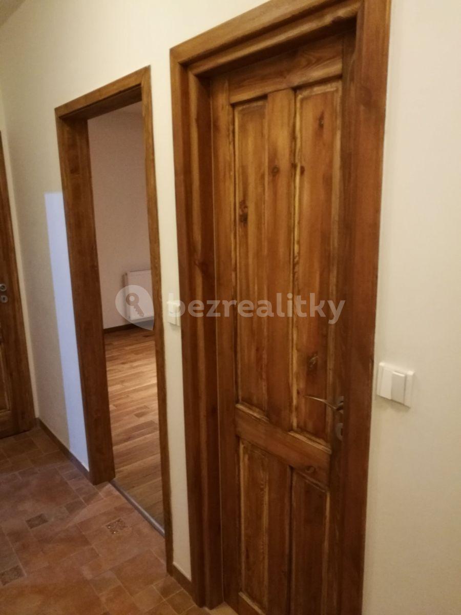 1 bedroom with open-plan kitchen flat to rent, 53 m², Nad Údolím, Husinec, Středočeský Region