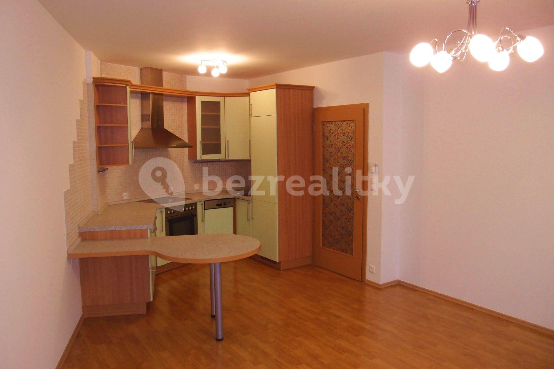 1 bedroom with open-plan kitchen flat to rent, 65 m², Prague, Prague