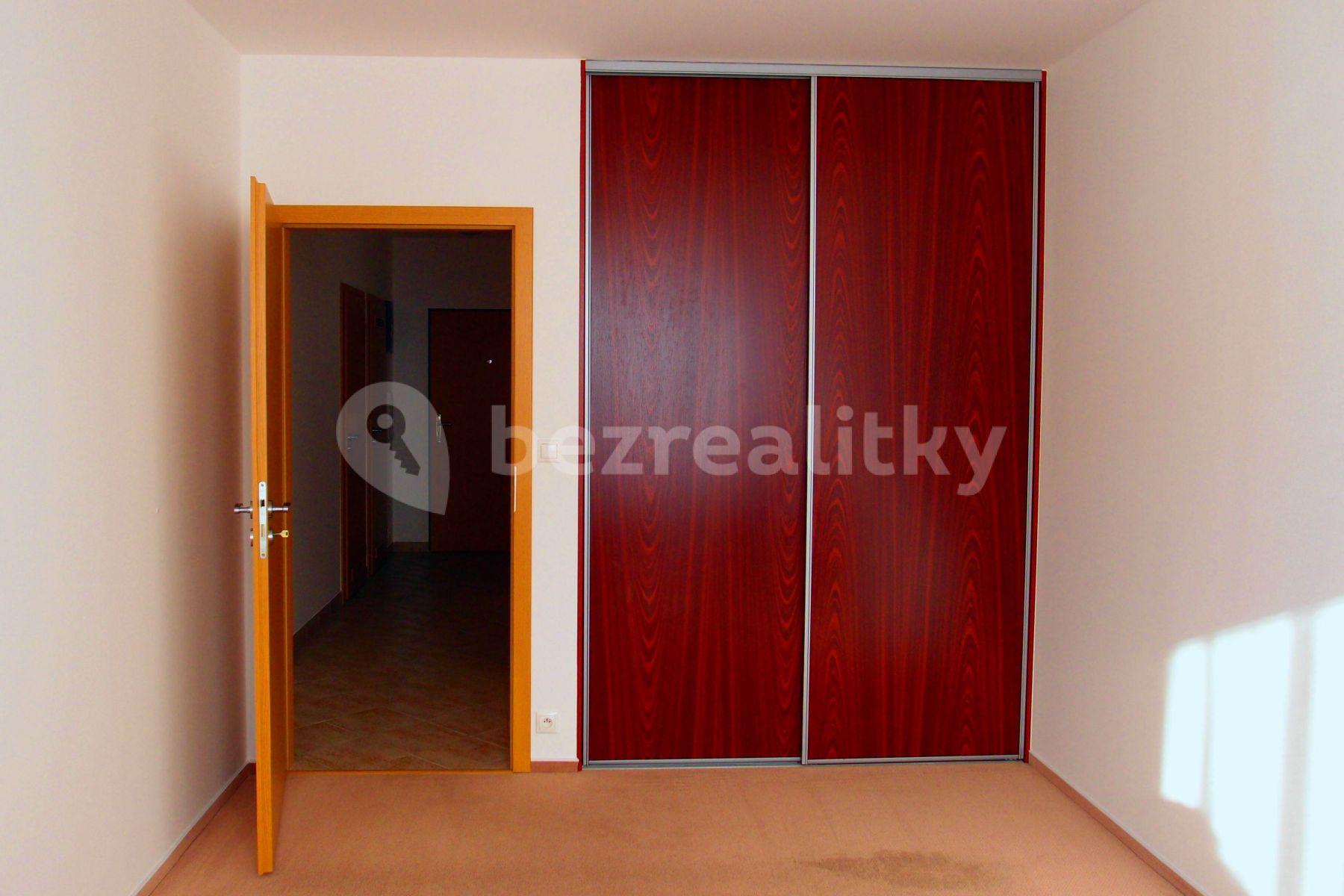 1 bedroom with open-plan kitchen flat to rent, 65 m², Prague, Prague