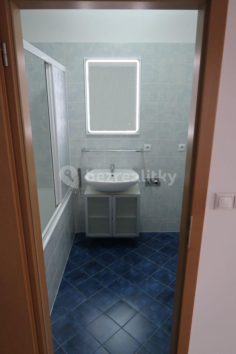 1 bedroom with open-plan kitchen flat to rent, 65 m², Prague, Prague