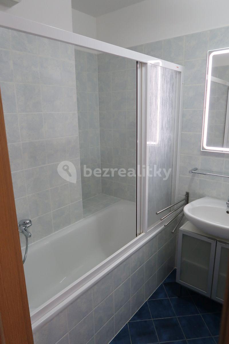 1 bedroom with open-plan kitchen flat to rent, 65 m², Prague, Prague