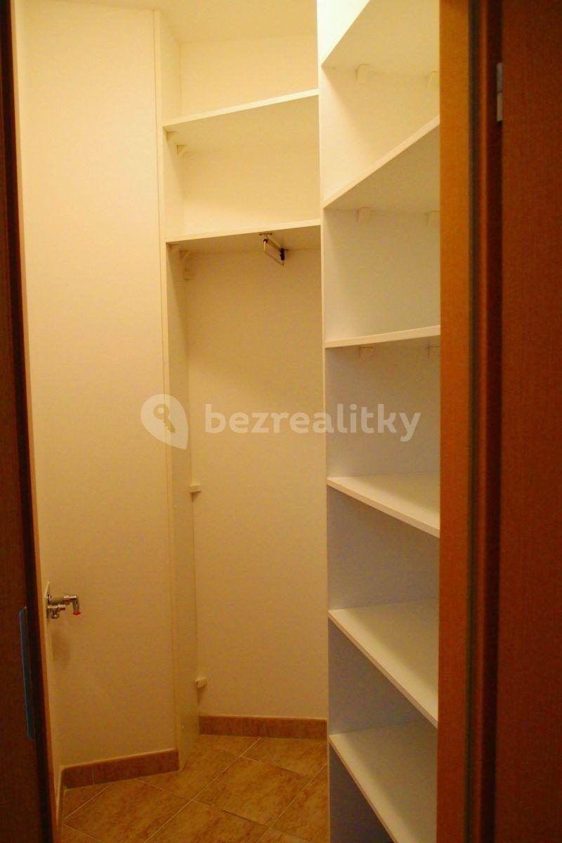 1 bedroom with open-plan kitchen flat to rent, 65 m², Prague, Prague