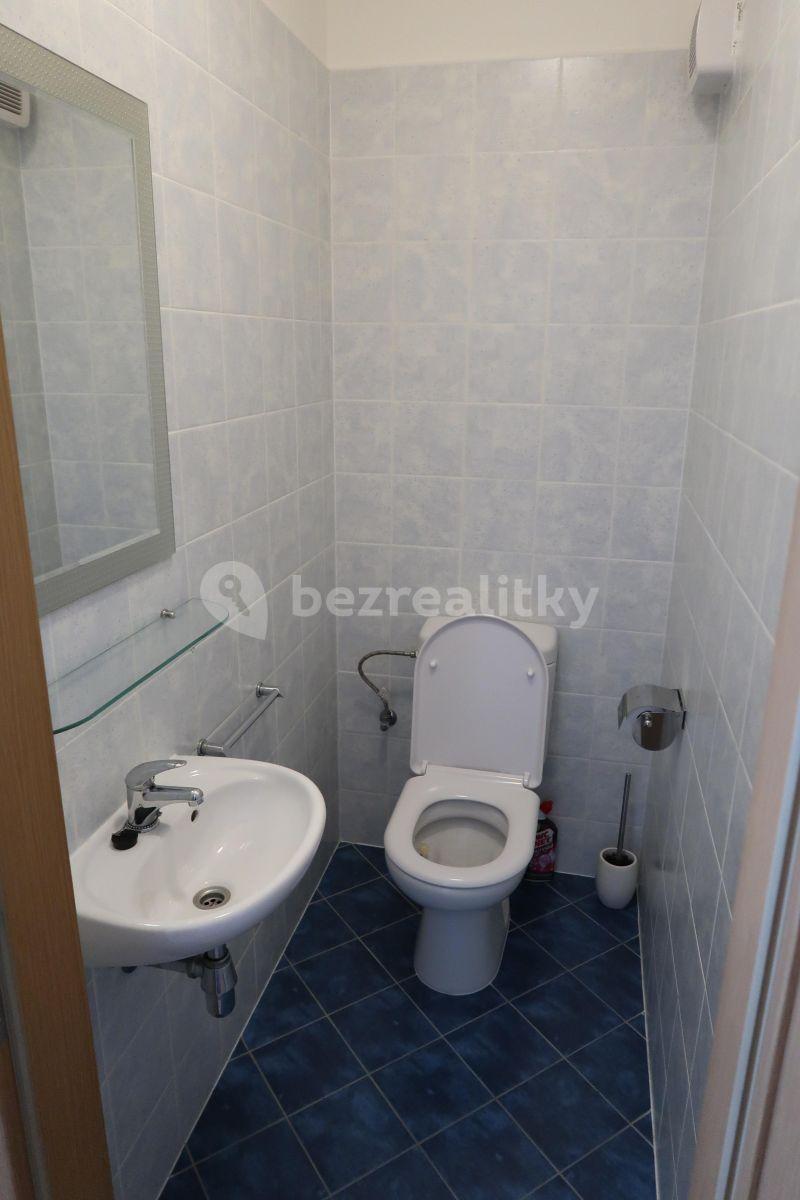 1 bedroom with open-plan kitchen flat to rent, 65 m², Prague, Prague