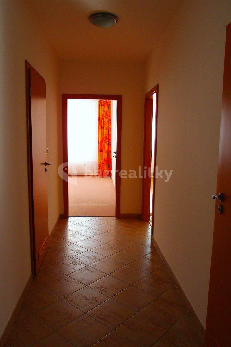 1 bedroom with open-plan kitchen flat to rent, 65 m², Prague, Prague