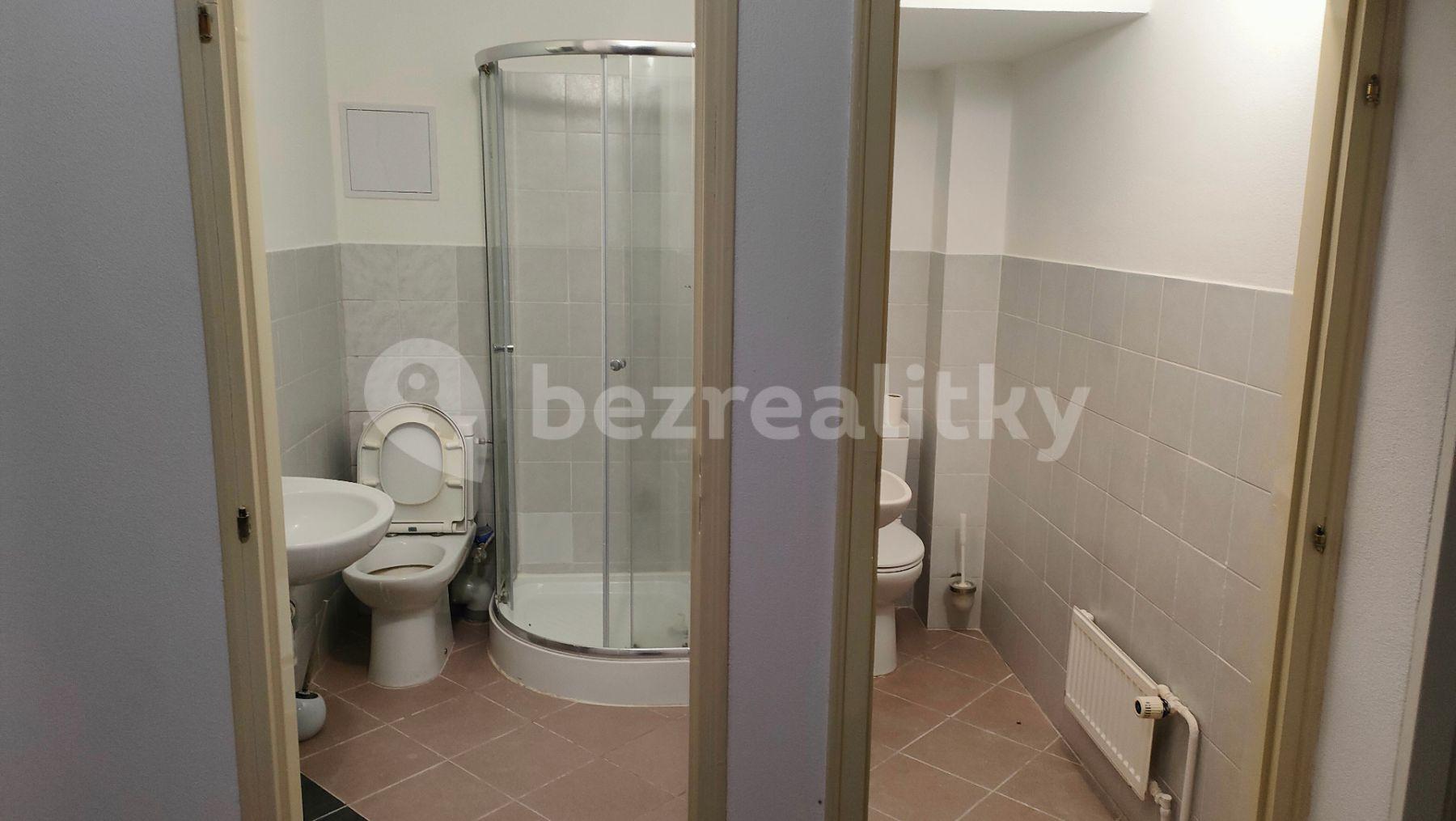 non-residential property to rent, 160 m², Velvarská, Prague, Prague