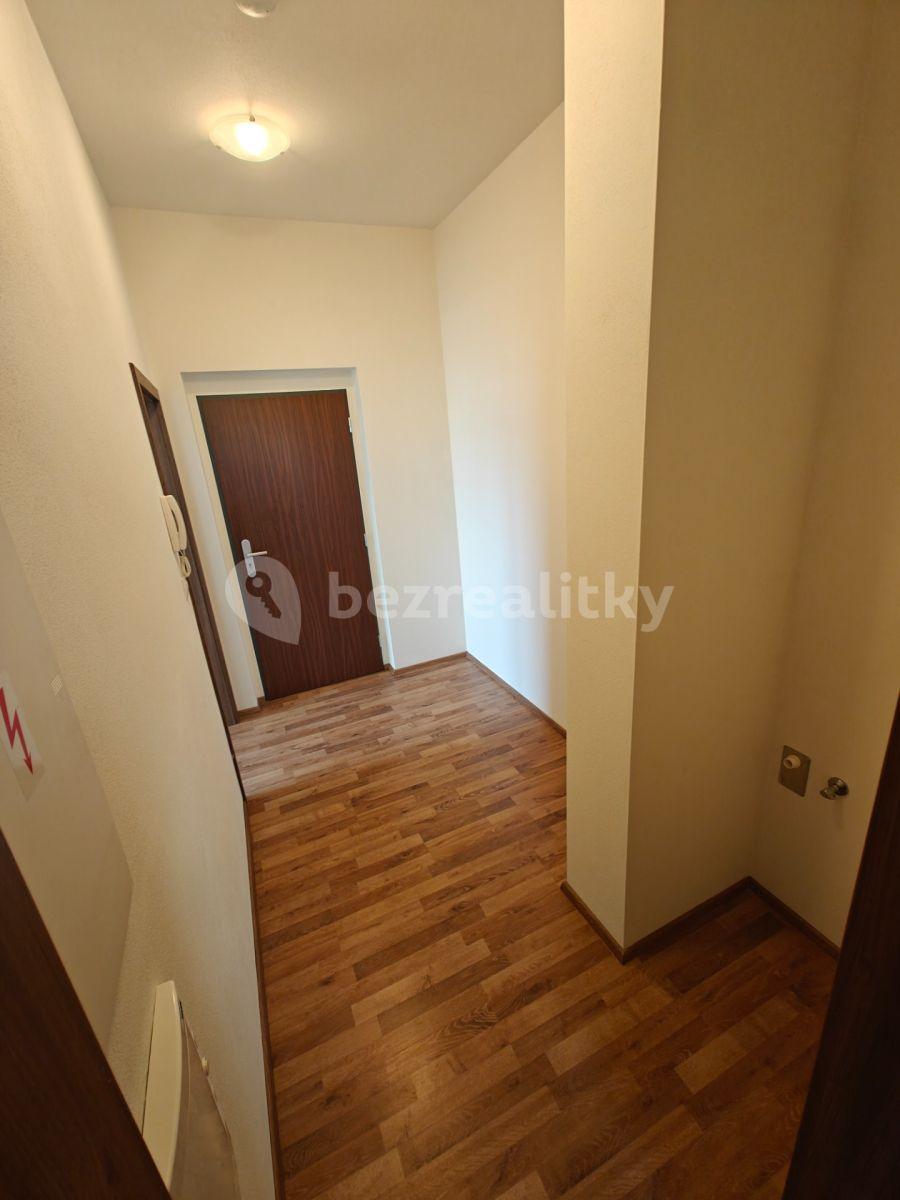 1 bedroom with open-plan kitchen flat to rent, 38 m², U Boru, České Budějovice, Jihočeský Region