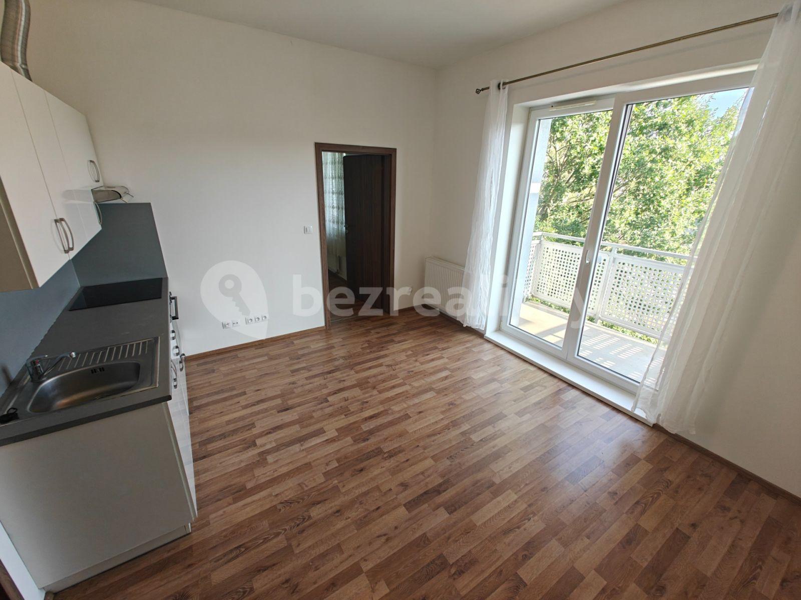 1 bedroom with open-plan kitchen flat to rent, 38 m², U Boru, České Budějovice, Jihočeský Region