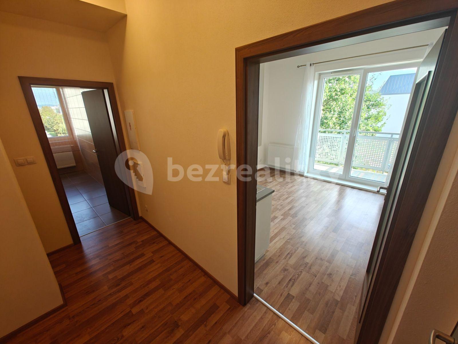 1 bedroom with open-plan kitchen flat to rent, 38 m², U Boru, České Budějovice, Jihočeský Region