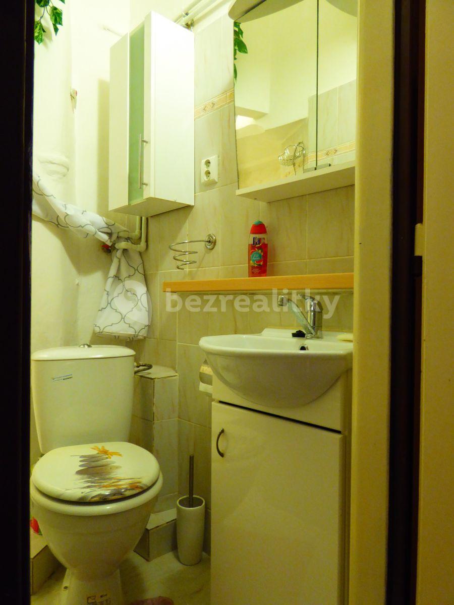 1 bedroom with open-plan kitchen flat to rent, 49 m², Biskupcova, Prague, Prague