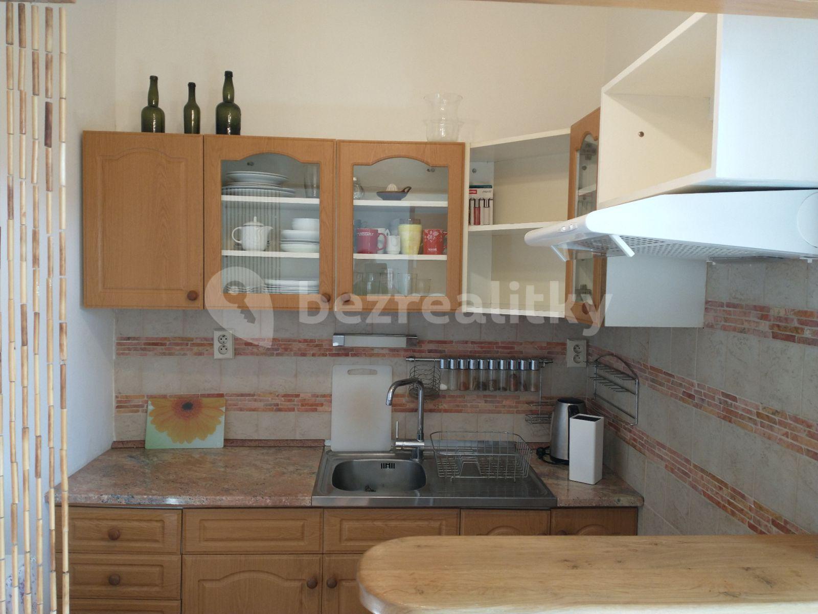 1 bedroom with open-plan kitchen flat to rent, 49 m², Biskupcova, Prague, Prague