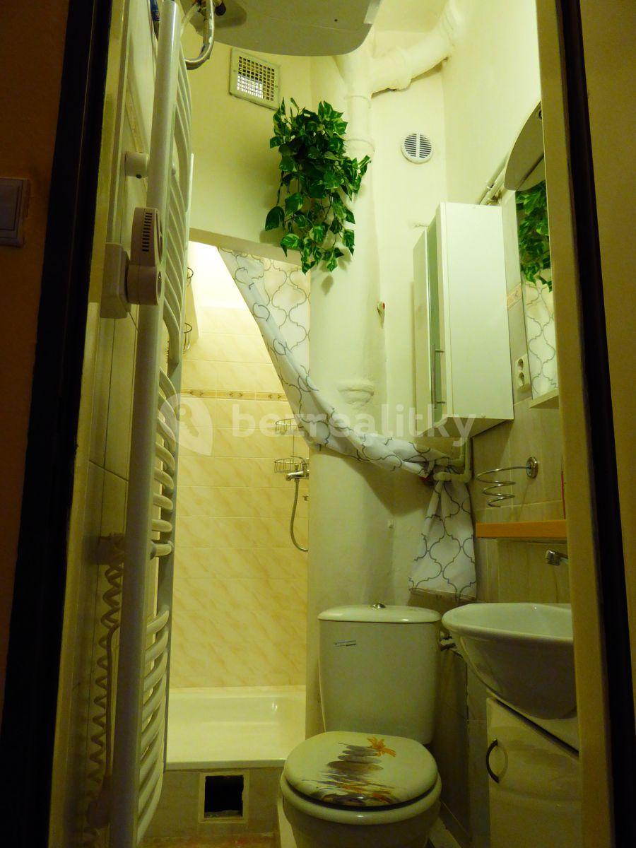 1 bedroom with open-plan kitchen flat to rent, 49 m², Biskupcova, Prague, Prague