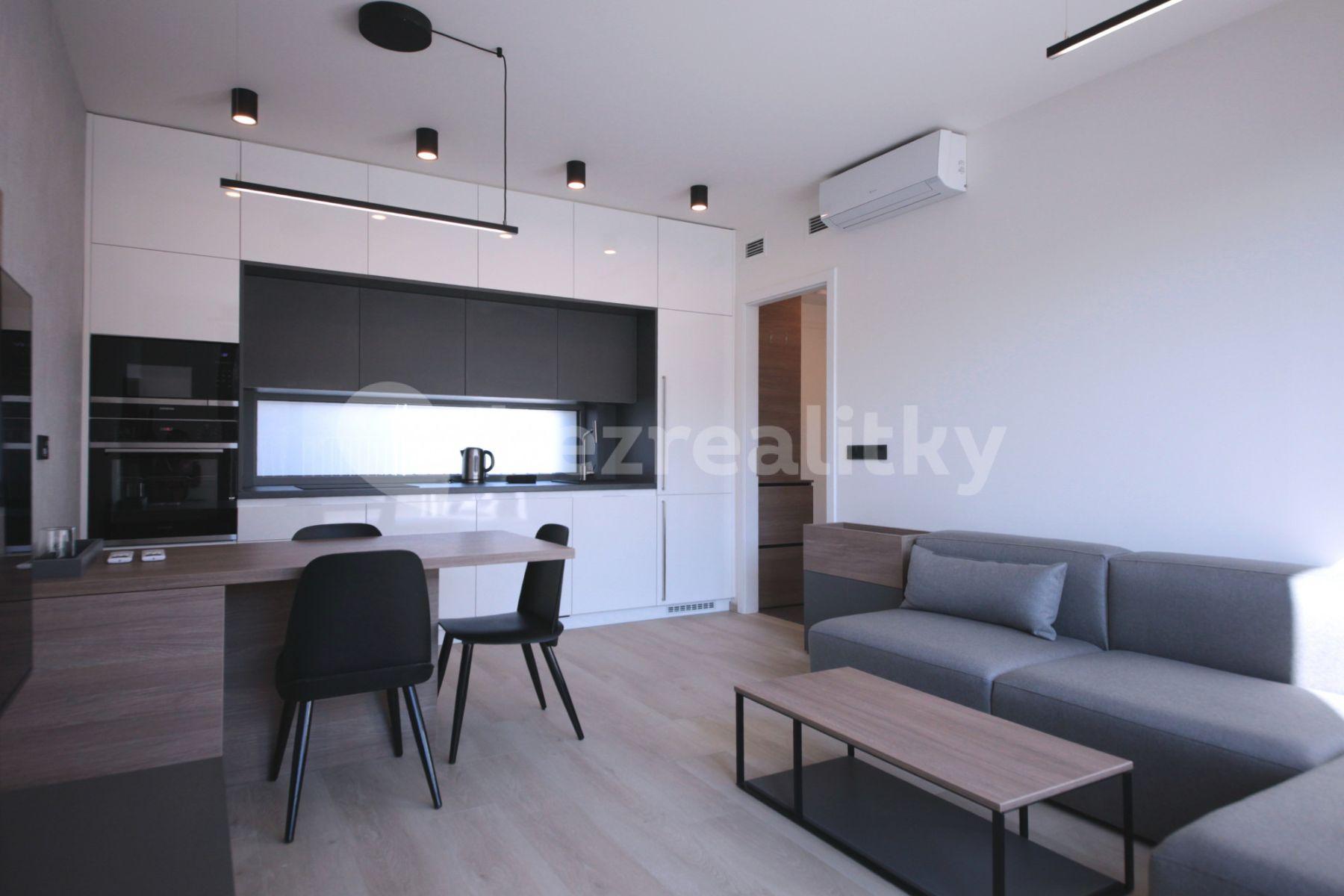 1 bedroom with open-plan kitchen flat to rent, 50 m², Prachnerova, Prague, Prague