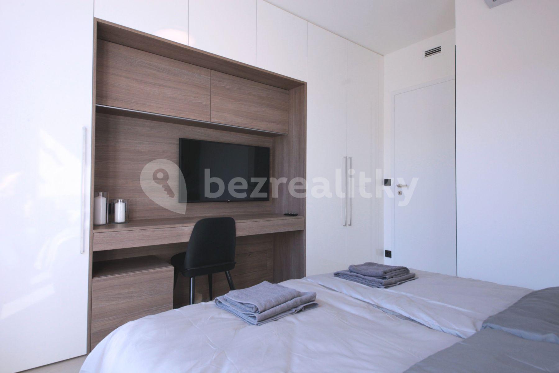 1 bedroom with open-plan kitchen flat to rent, 50 m², Prachnerova, Prague, Prague