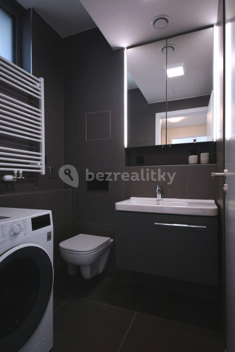 1 bedroom with open-plan kitchen flat to rent, 50 m², Prachnerova, Prague, Prague