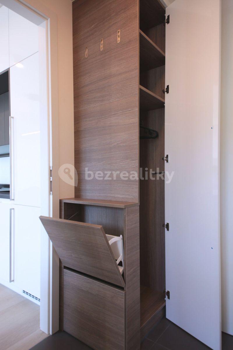 1 bedroom with open-plan kitchen flat to rent, 50 m², Prachnerova, Prague, Prague