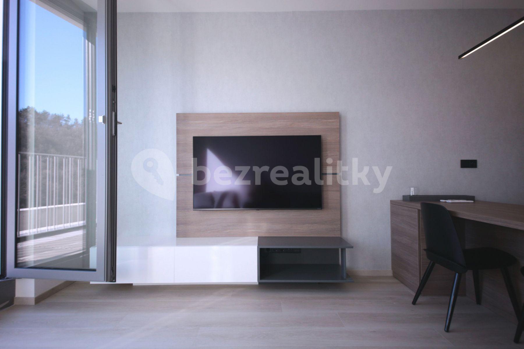 1 bedroom with open-plan kitchen flat to rent, 50 m², Prachnerova, Prague, Prague