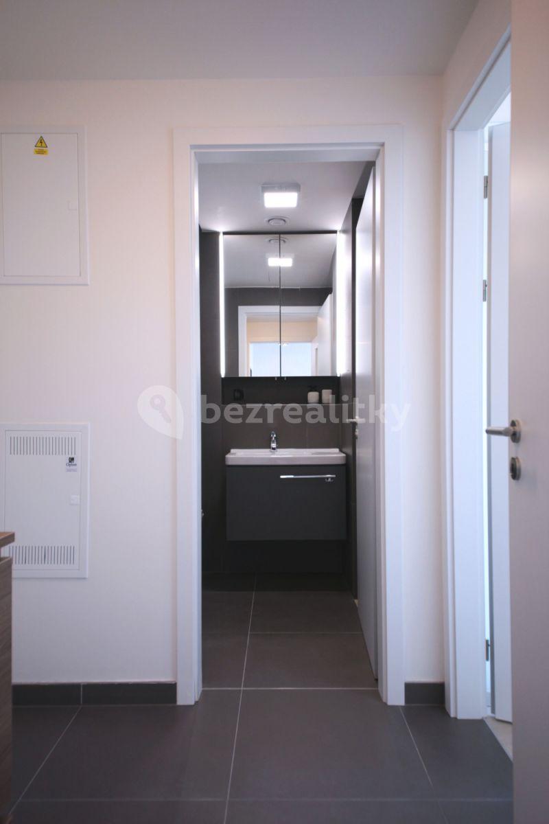 1 bedroom with open-plan kitchen flat to rent, 50 m², Prachnerova, Prague, Prague