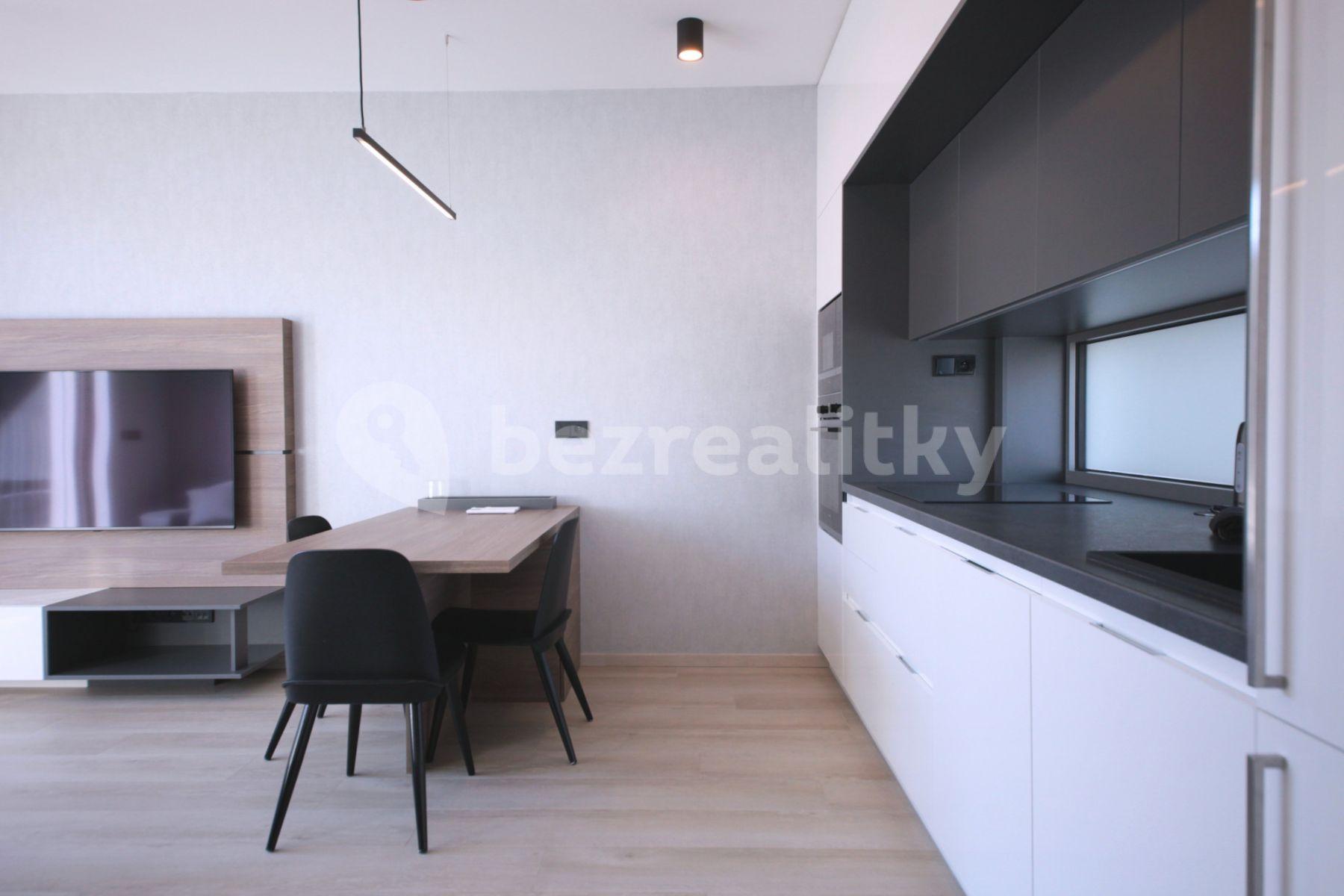 1 bedroom with open-plan kitchen flat to rent, 50 m², Prachnerova, Prague, Prague