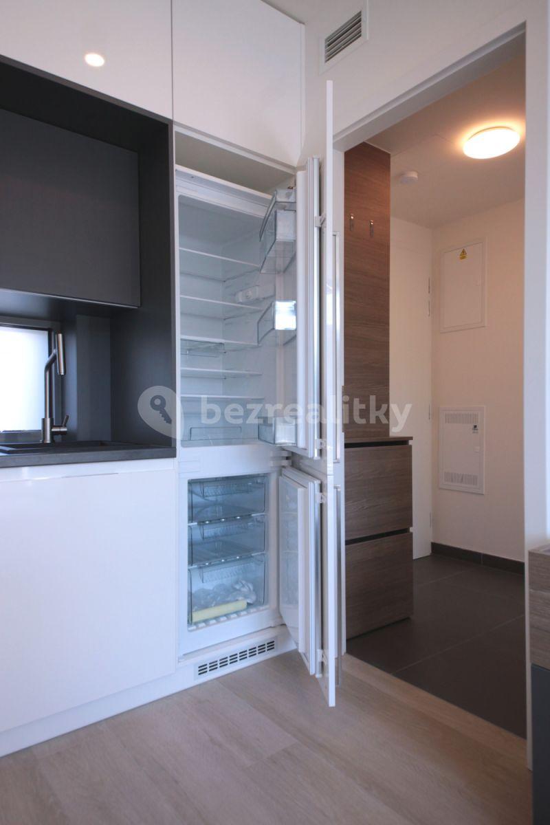 1 bedroom with open-plan kitchen flat to rent, 50 m², Prachnerova, Prague, Prague