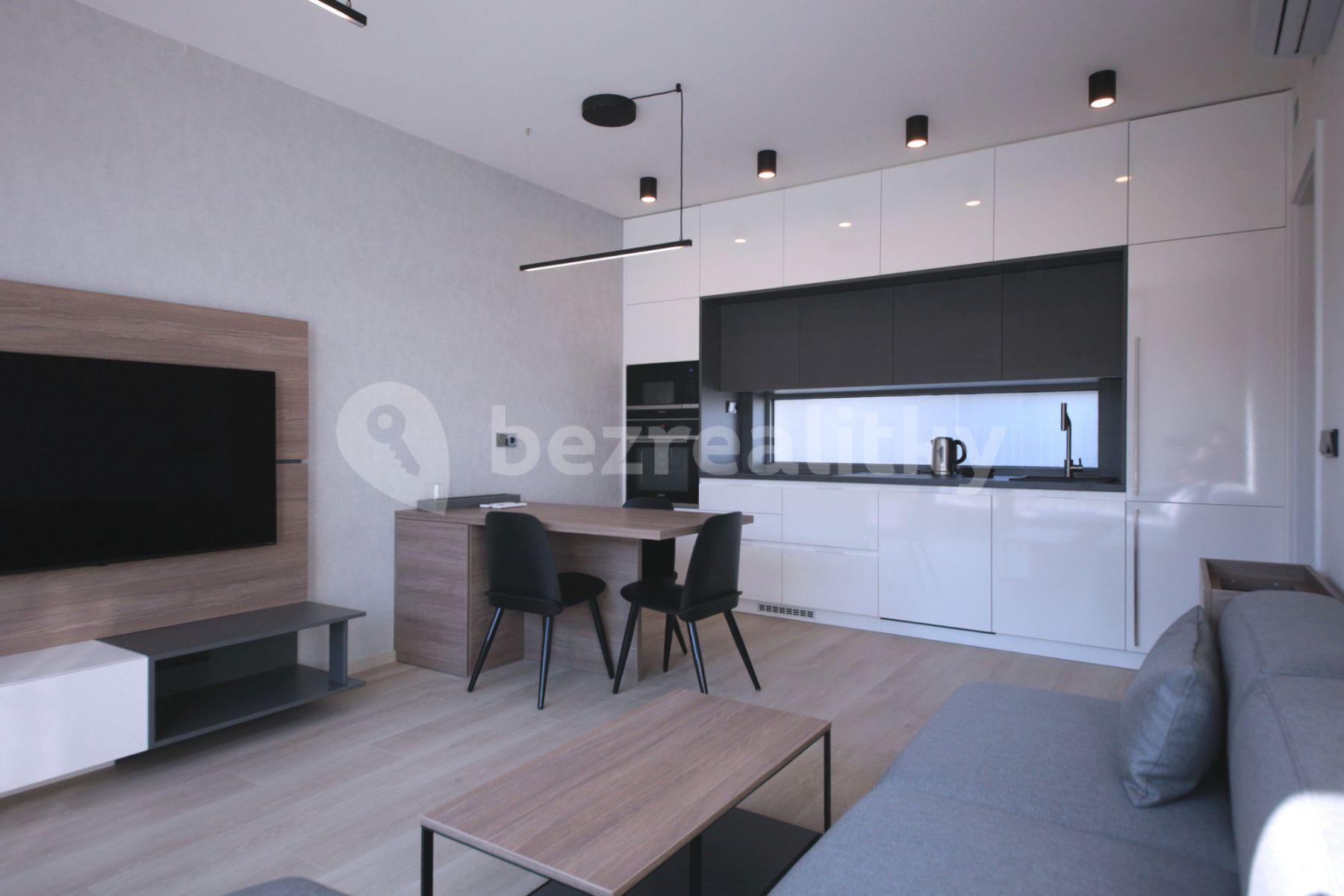 1 bedroom with open-plan kitchen flat to rent, 50 m², Prachnerova, Prague, Prague