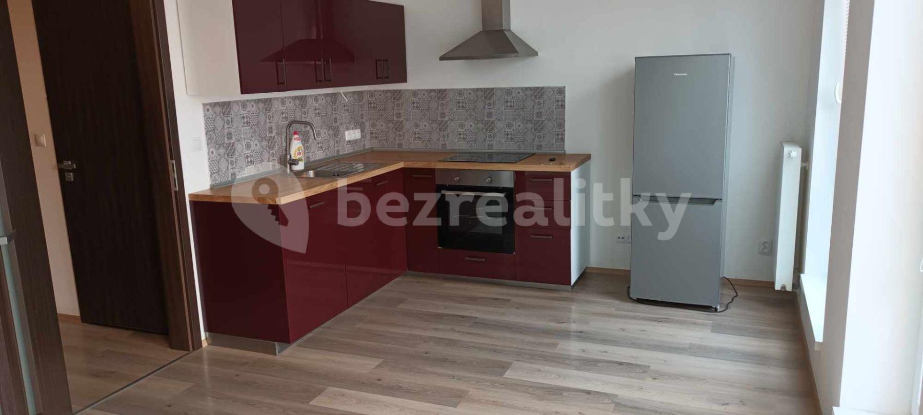 1 bedroom with open-plan kitchen flat to rent, 52 m², Spolková, Brno, Jihomoravský Region