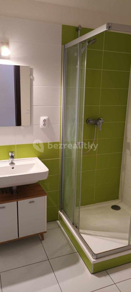 1 bedroom with open-plan kitchen flat to rent, 52 m², Spolková, Brno, Jihomoravský Region