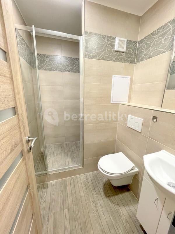 1 bedroom with open-plan kitchen flat to rent, 38 m², Višňovce, Hulín, Zlínský Region