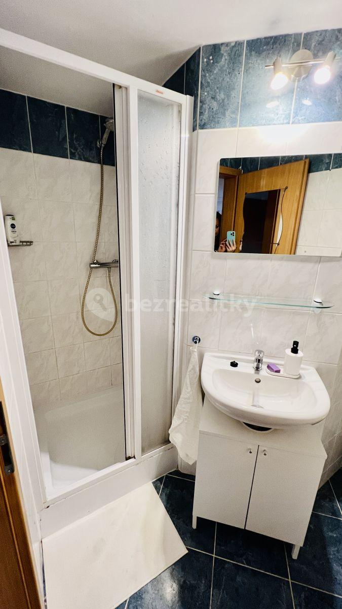 Studio flat to rent, 35 m², Vídeňská, Brno, Jihomoravský Region